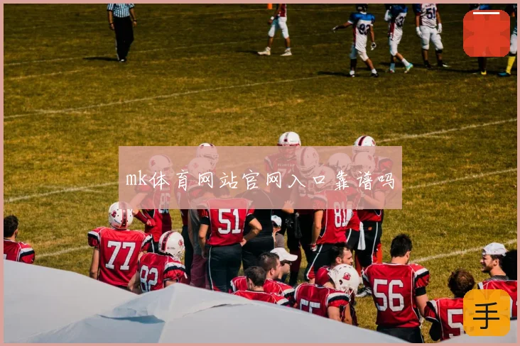 mk体育网站官网入口靠谱吗
